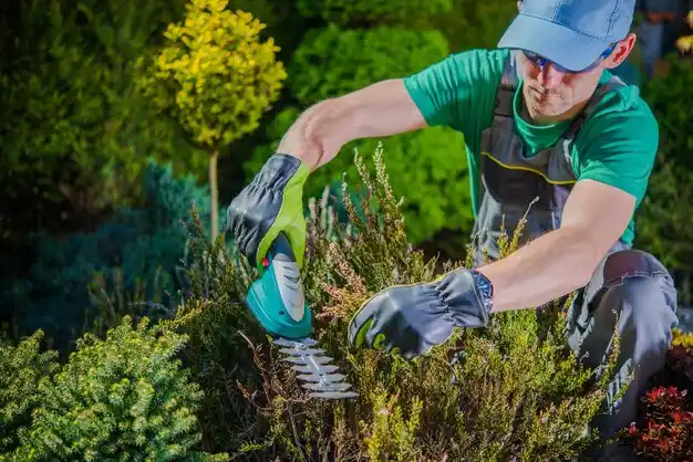 landscaping services Vidalia